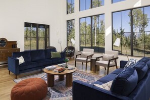 Main Living room, lots of natural light