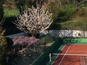 Sport court