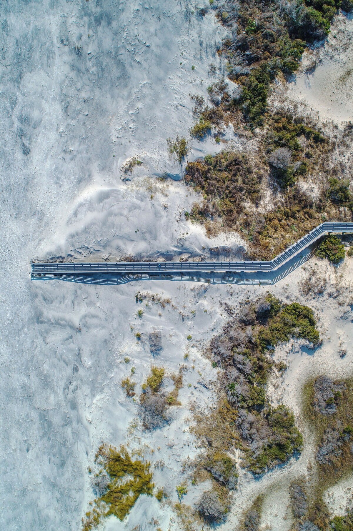 Perch in Paradise on St Simons Island