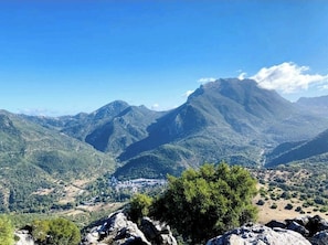 A nearby mountain hike.