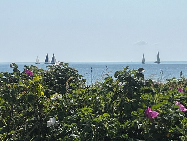 Die Ostsee u. der Strand nur 300m vom Haus entfernt