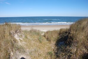 Beach,Coast,Nature,Outdoors,Sea