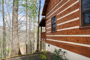Building, Tree, House, Nature, Outdoors