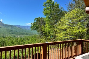 Railing, Nature, Outdoors, Scenery, Vegetation