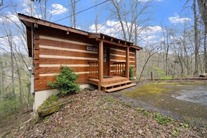 House, Cabin, Outdoors, Shelter, Rug