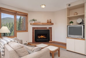 Indoor Gas Fireplace
