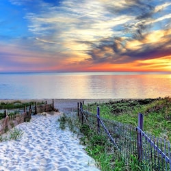 Cape Cod Dunes/Beach