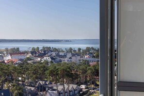 A panoramic view from the apartment, showcasing a vibrant cityscape surrounded by greenery and water.

