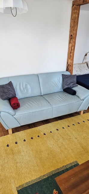 EG: Wohnzimmer mit Sofa / TV, im hinteren Bereich mit Zirbenholz-Doppelbett