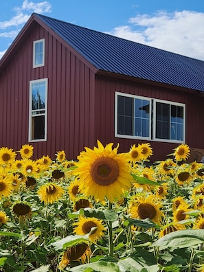 Overnatningsstedets område