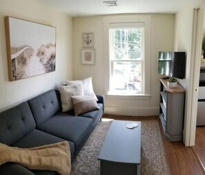 Lounging area with comfy couch, chair, smart tv, books, and area information.