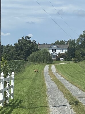 Property grounds
