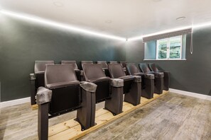 12 seat cinema with real cinema seats.