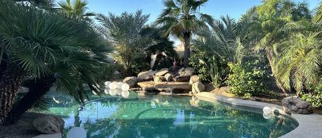 Tropical Pool with Stone Fountain 