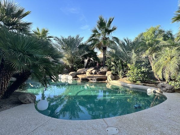 Tropical Pool with Stone Fountain 