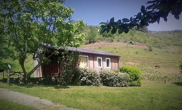 Exteriör