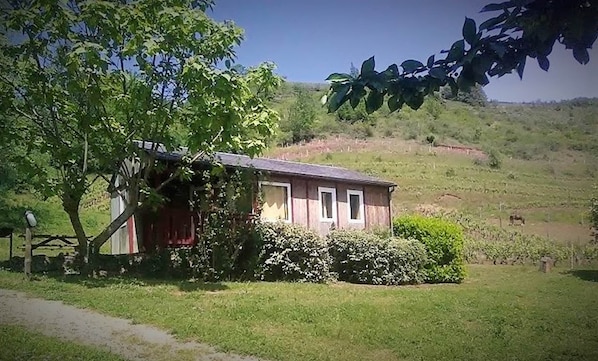 Exteriör