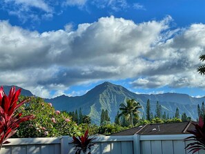Stunning Mountain Views from the Pool