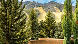 Stunning views of Bald Mountain from the deck
