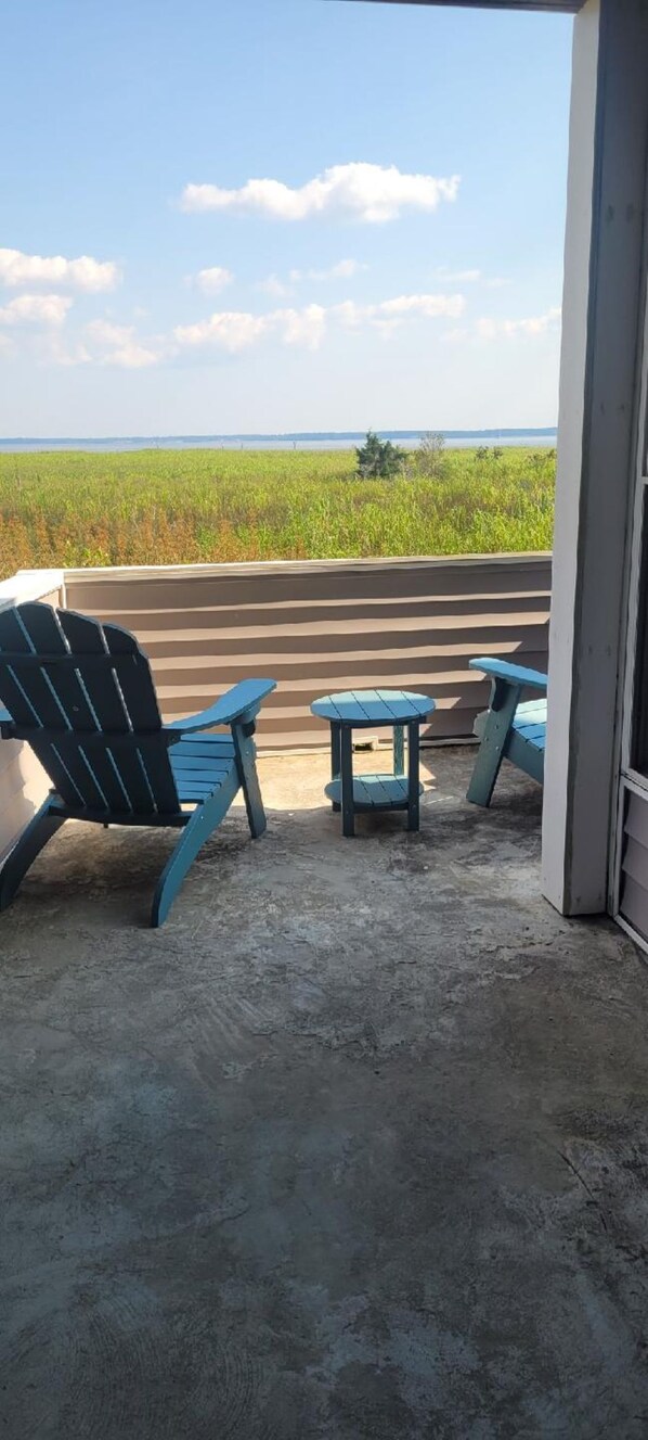views from the deck