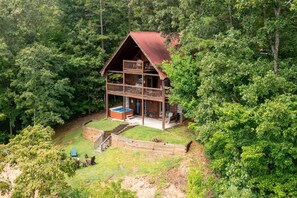 AERIAL BACKYARD VIEW