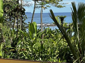 view1 - Peek-a-boo ocean view from Maunaloa Shores 108