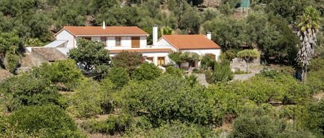 Villa Bouganvilla a Monchique