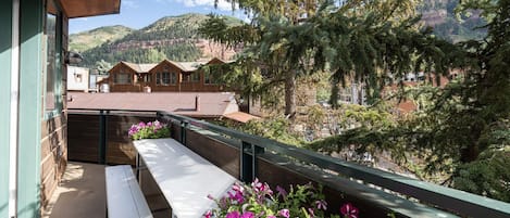 180 degree views from the expansive deck area of the Telluride Valley.