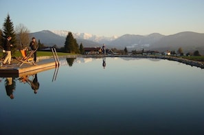 The Filtered Swimming Pool/ Pond