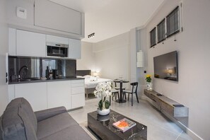 Studio avec canapé lit , cuisine américaine équipée, coin repas, télé, wifi
