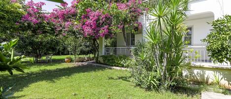 Enjoy a peaceful morning in our tranquil garden, sipping coffee amidst nature's embrace.