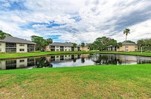 Backyard Pond