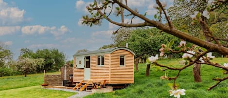 Bramley Hut, Allerford