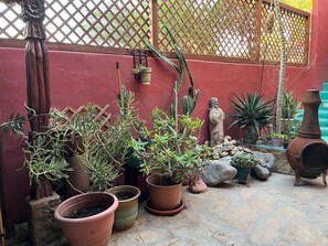 A work in progress... the little cactus garden. One of my favourite place to unwind.