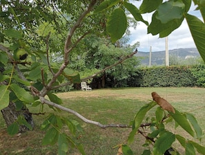 Boendeområde