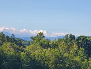 Patio view 2