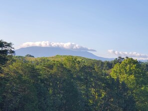 Patio view