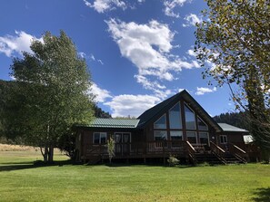 back yard