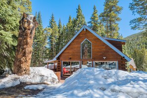 There is no shortage of snow here at the cabin!