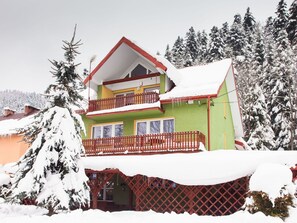 Snow, Building, Sky, Window, Tree, Plant, Branch, House, Slope, Cottage