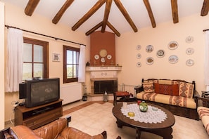 Living room with traditional decoration on the furniture and in the fireplace