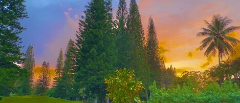 Sherbert Skies and mountain Views from the backyard