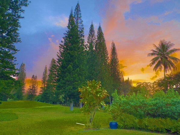 Sherbert Skies and mountain Views from the backyard