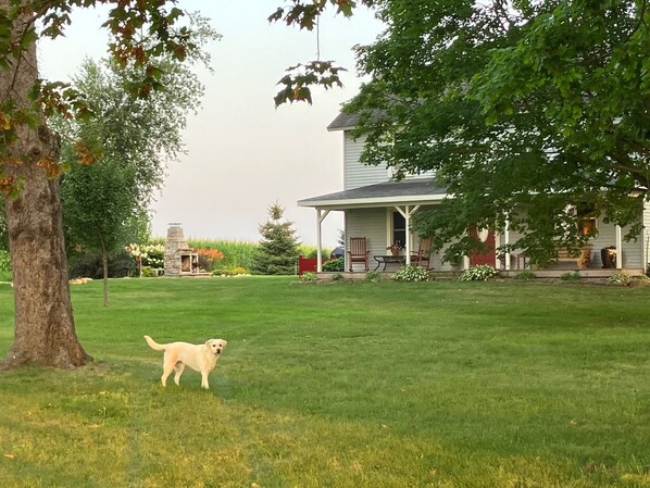 Property grounds