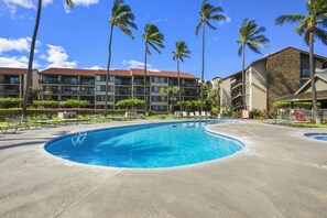 Take a dip in the swimming pool!