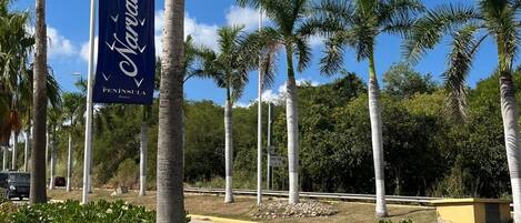 Entrance Flags