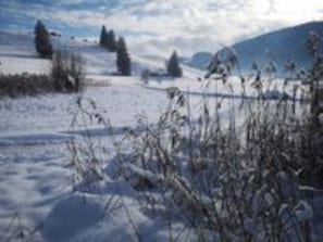 Sports d’hiver