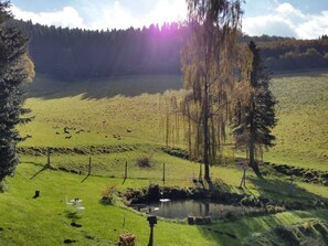 View from Holiday Home [summer]