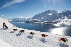Snow and ski sports