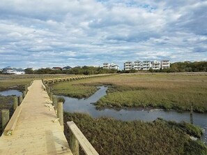 Pier